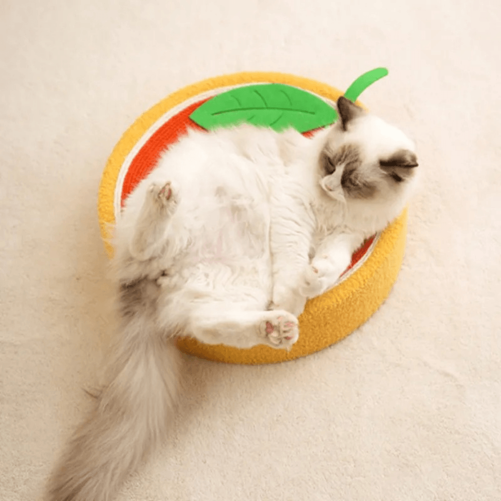 Griffoir Lit pour Chats