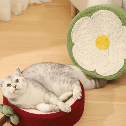 Griffoir Lit pour Chats