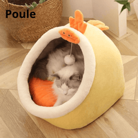 Gallina
