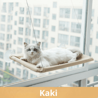 Caqui