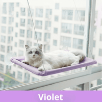 Violeta